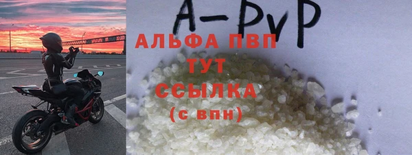 стаф Арсеньев