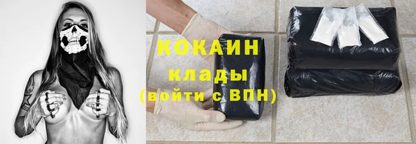 стаф Арсеньев