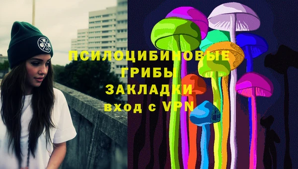 стаф Арсеньев