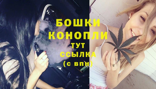 стаф Арсеньев