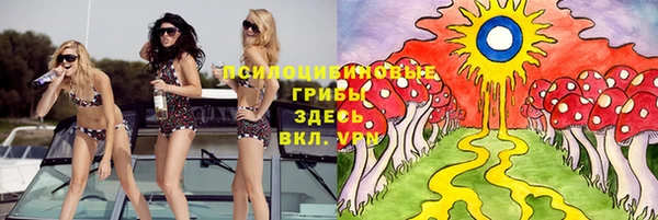 ALPHA-PVP Аркадак