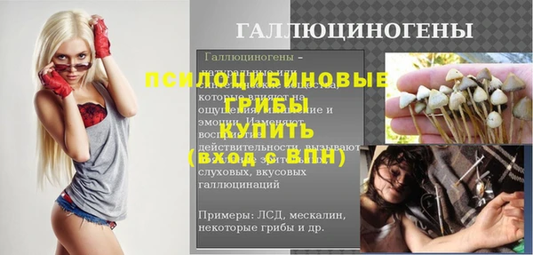 стаф Арсеньев