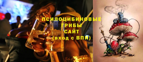 стаф Арсеньев