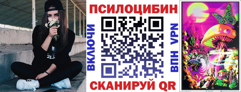 магазин  наркотиков  MEGA вход  Псилоцибиновые грибы Cubensis  Суоярви 